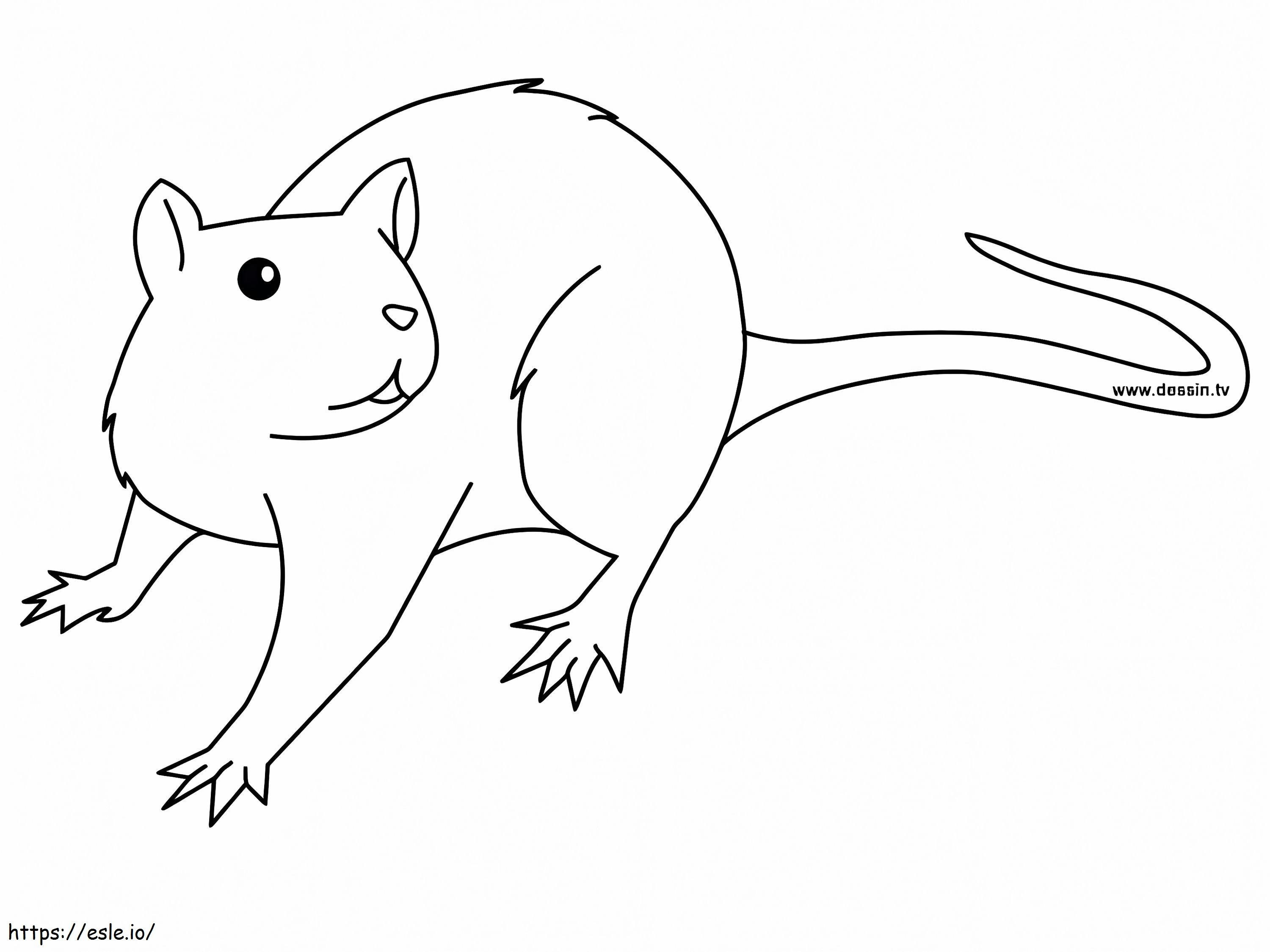 Coloriage Rat curieux à imprimer dessin