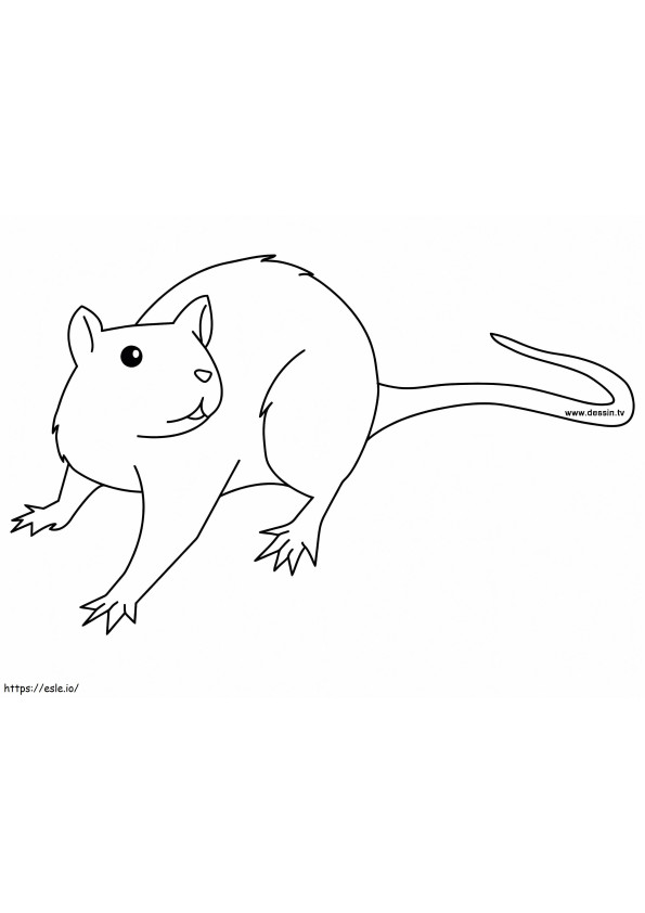 Neugierige Ratte ausmalbilder