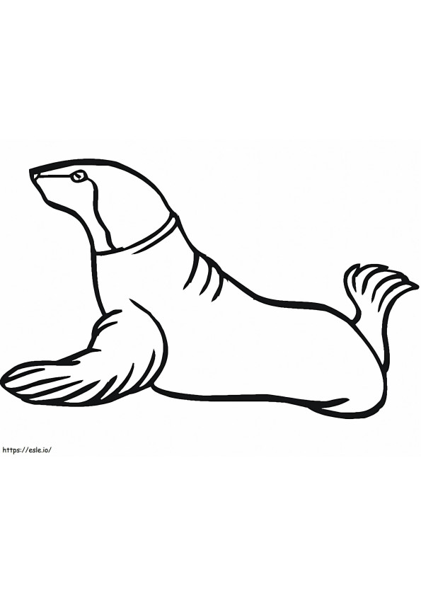 Yazdırılabilir Deniz Aslanı boyama