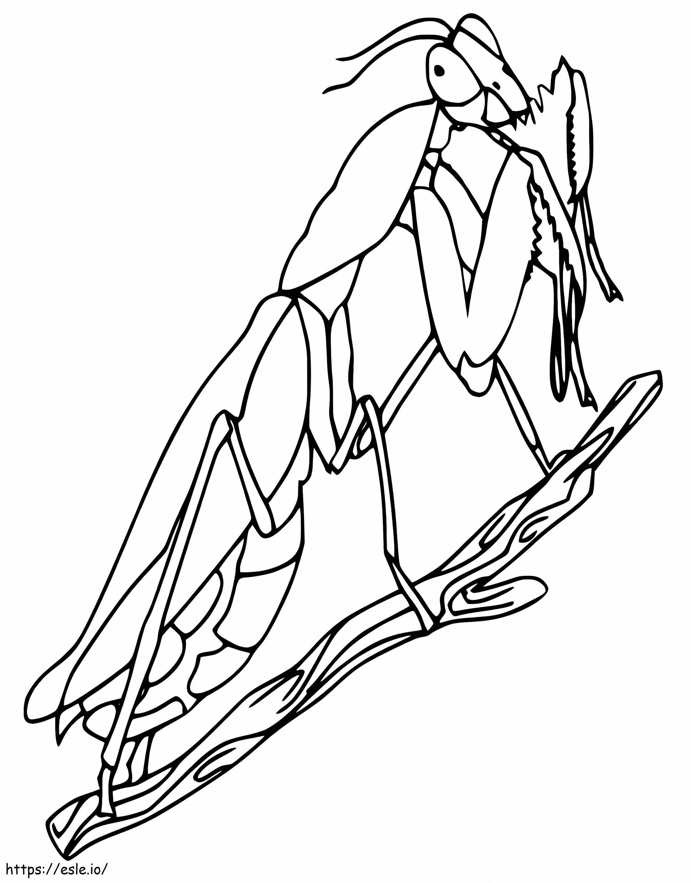 Praying Mantis On A Branch coloring page