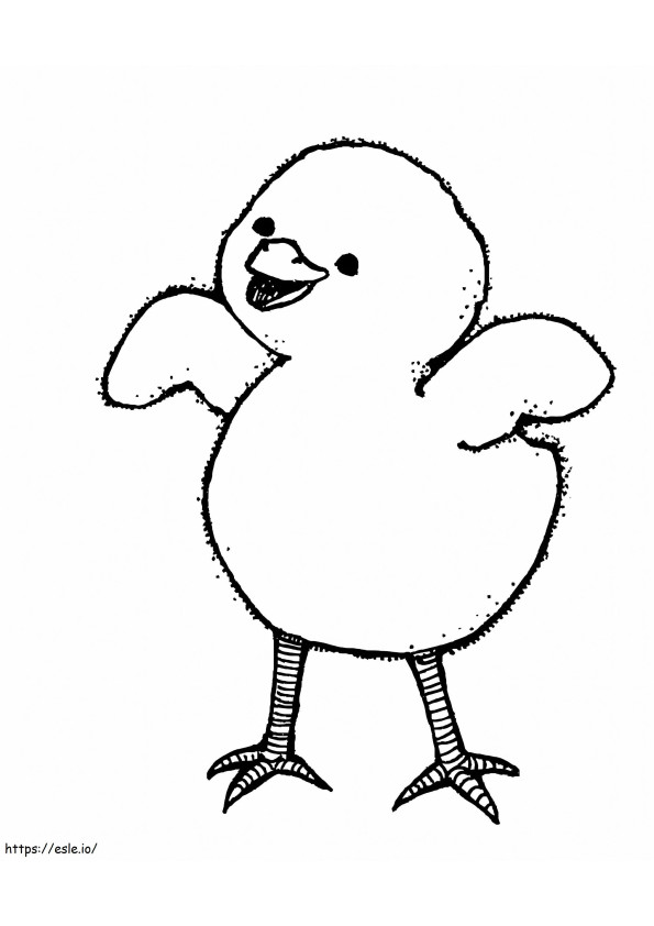 Chick Drawing coloring page