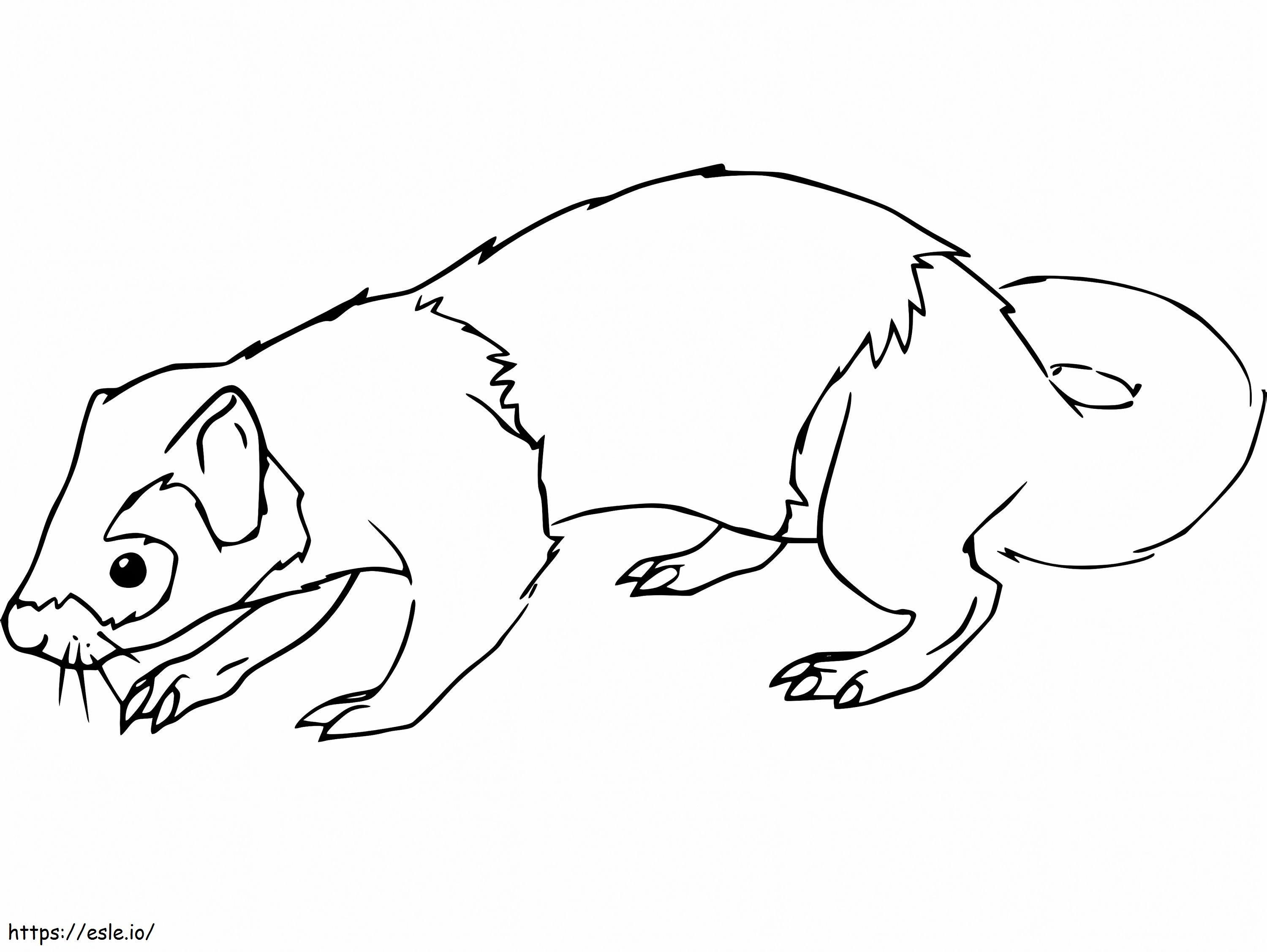 Weasel 10 coloring page