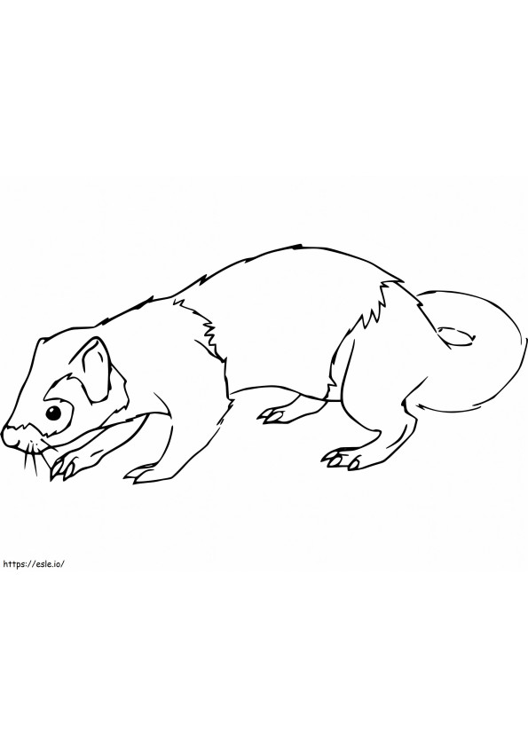 Weasel 10 coloring page