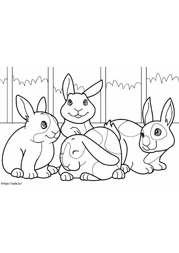 Tavşan Dört boyama