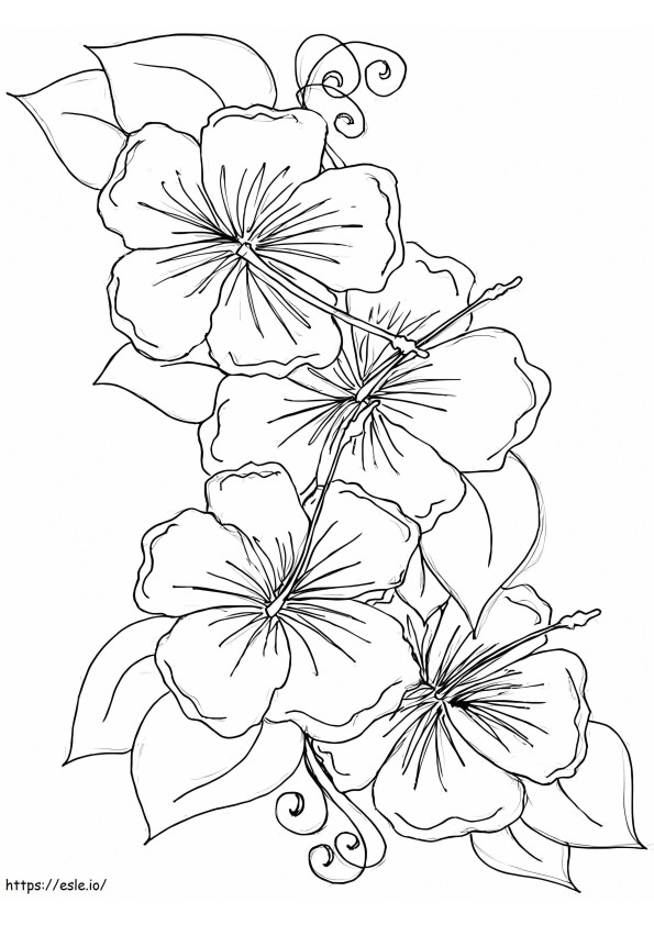 Hibiscus-kukat 3 värityskuva