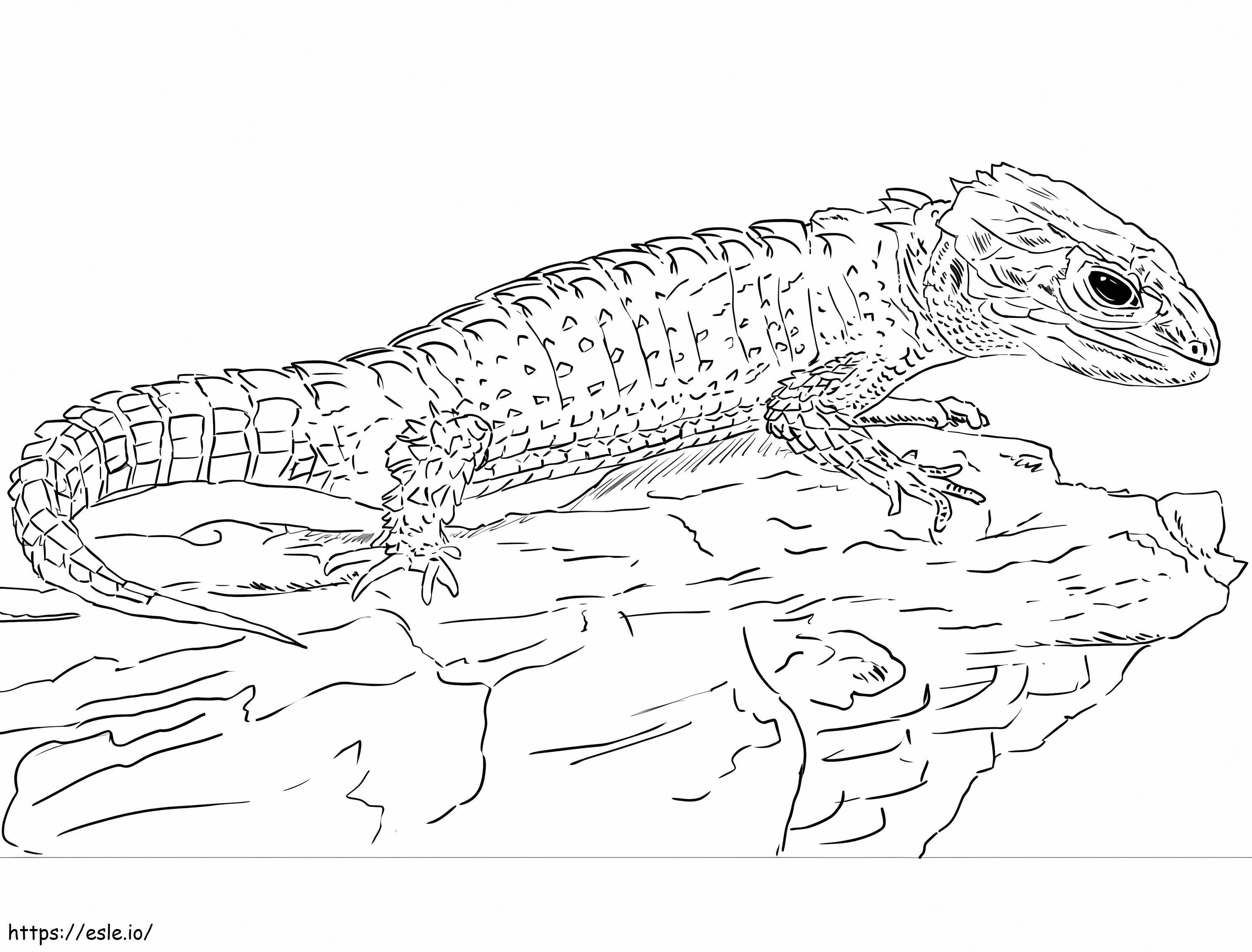Coloriage Scinque de crocodile à imprimer dessin