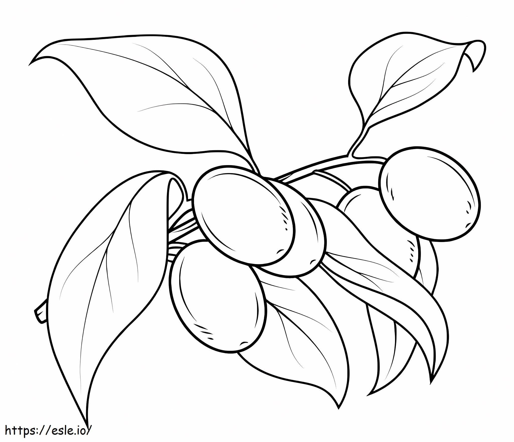 Kumquat With Leaf coloring page