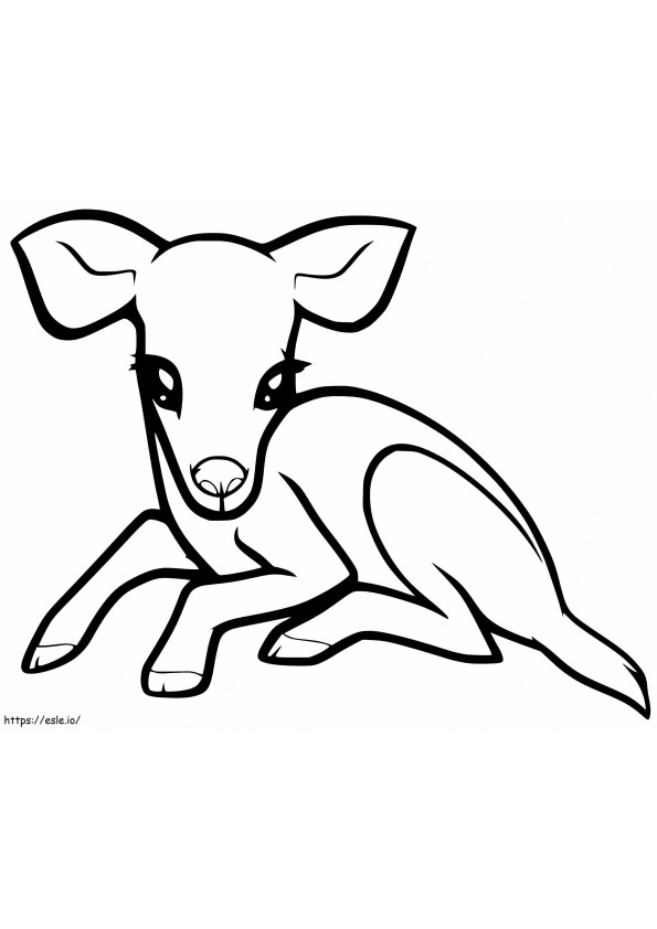 Newborn Fawn coloring page