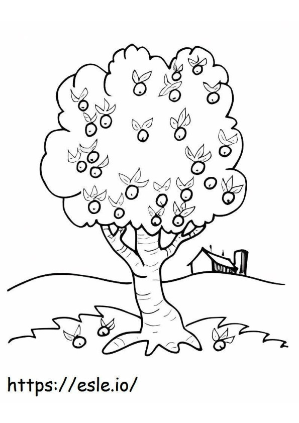 Guava Tree