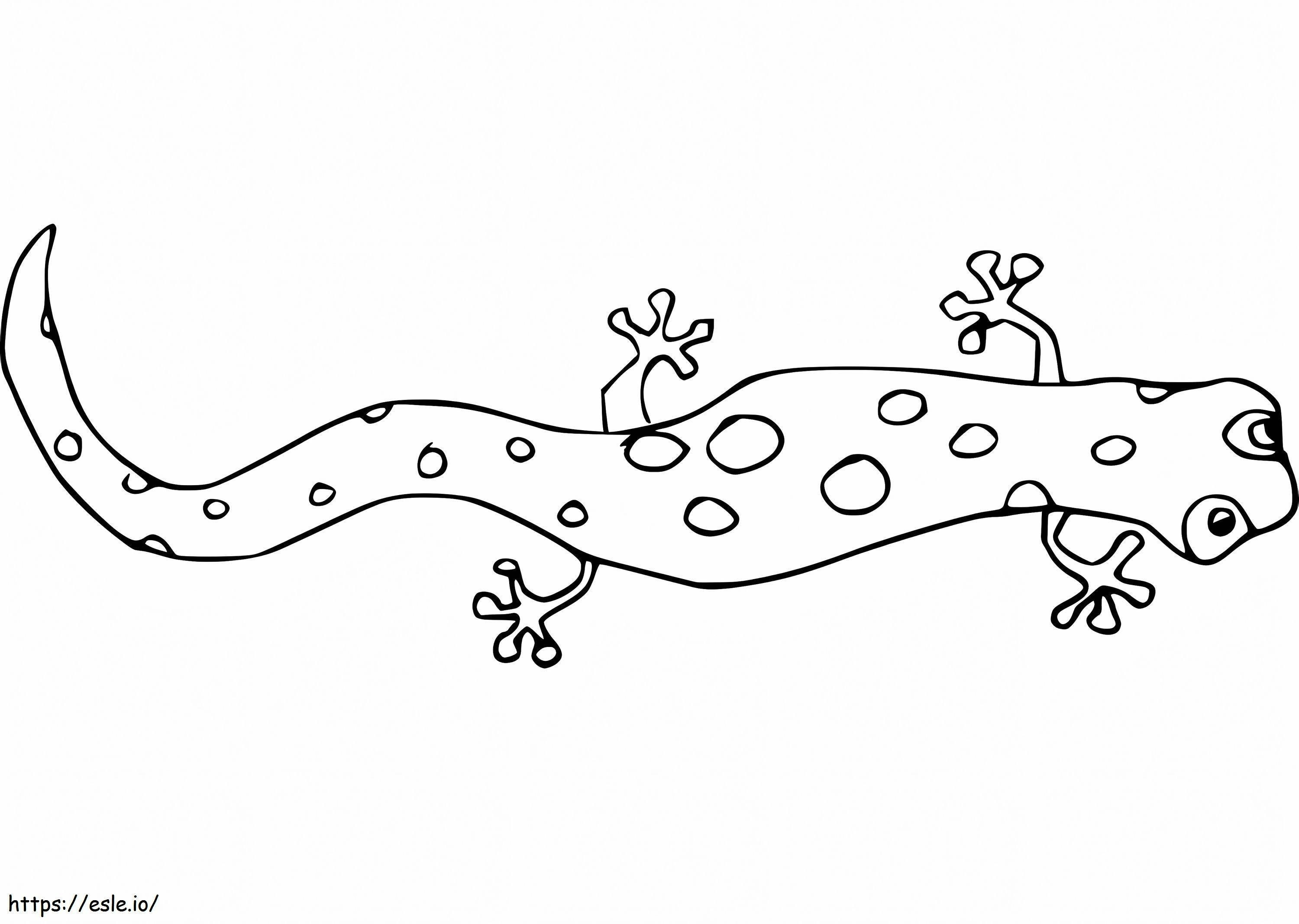 Ugly Spotted Newt coloring page