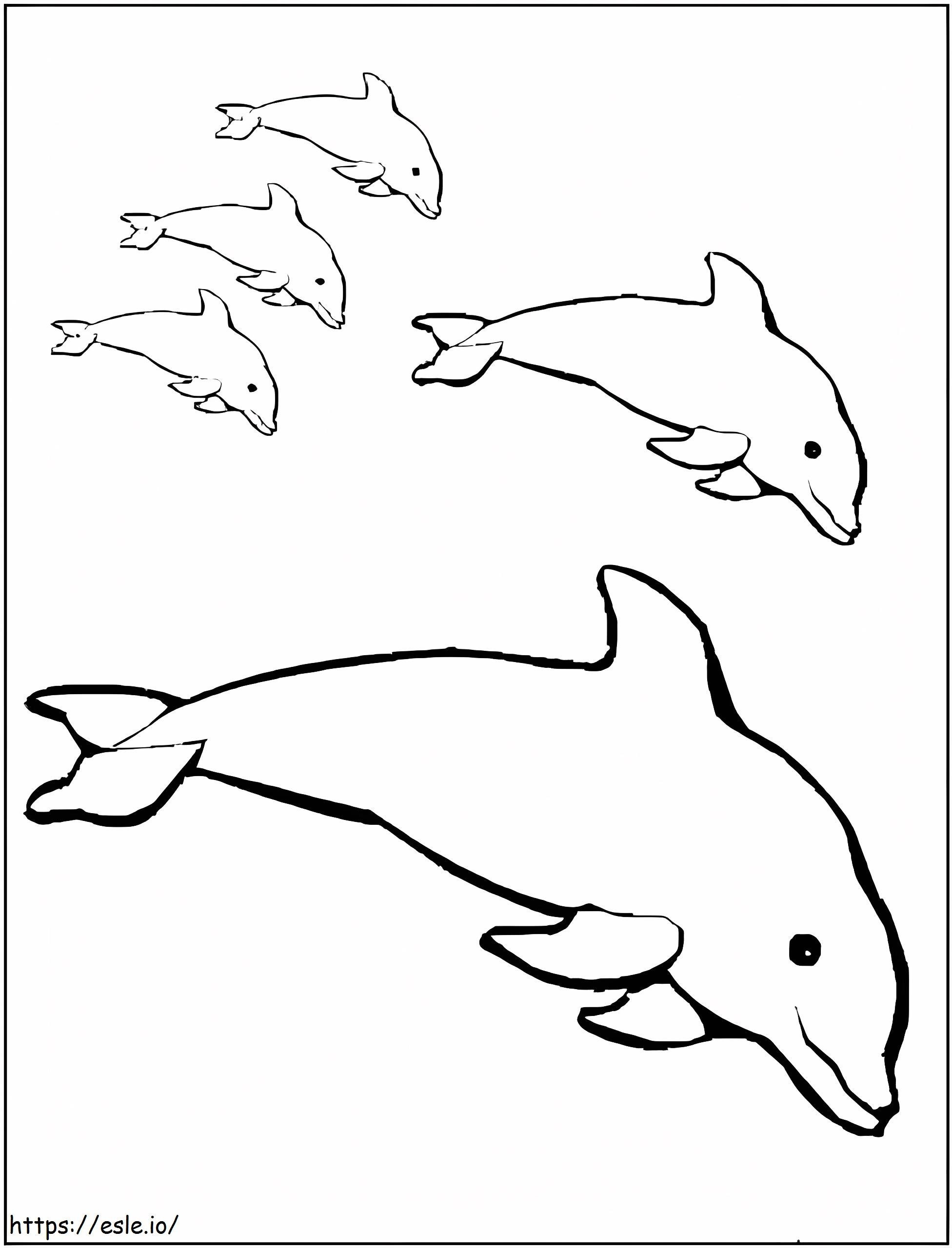 Nyomtassa ki a Dolphinokat kifestő
