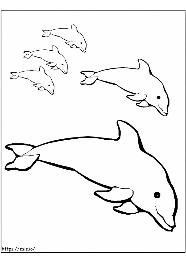 Stampa i delfini da colorare