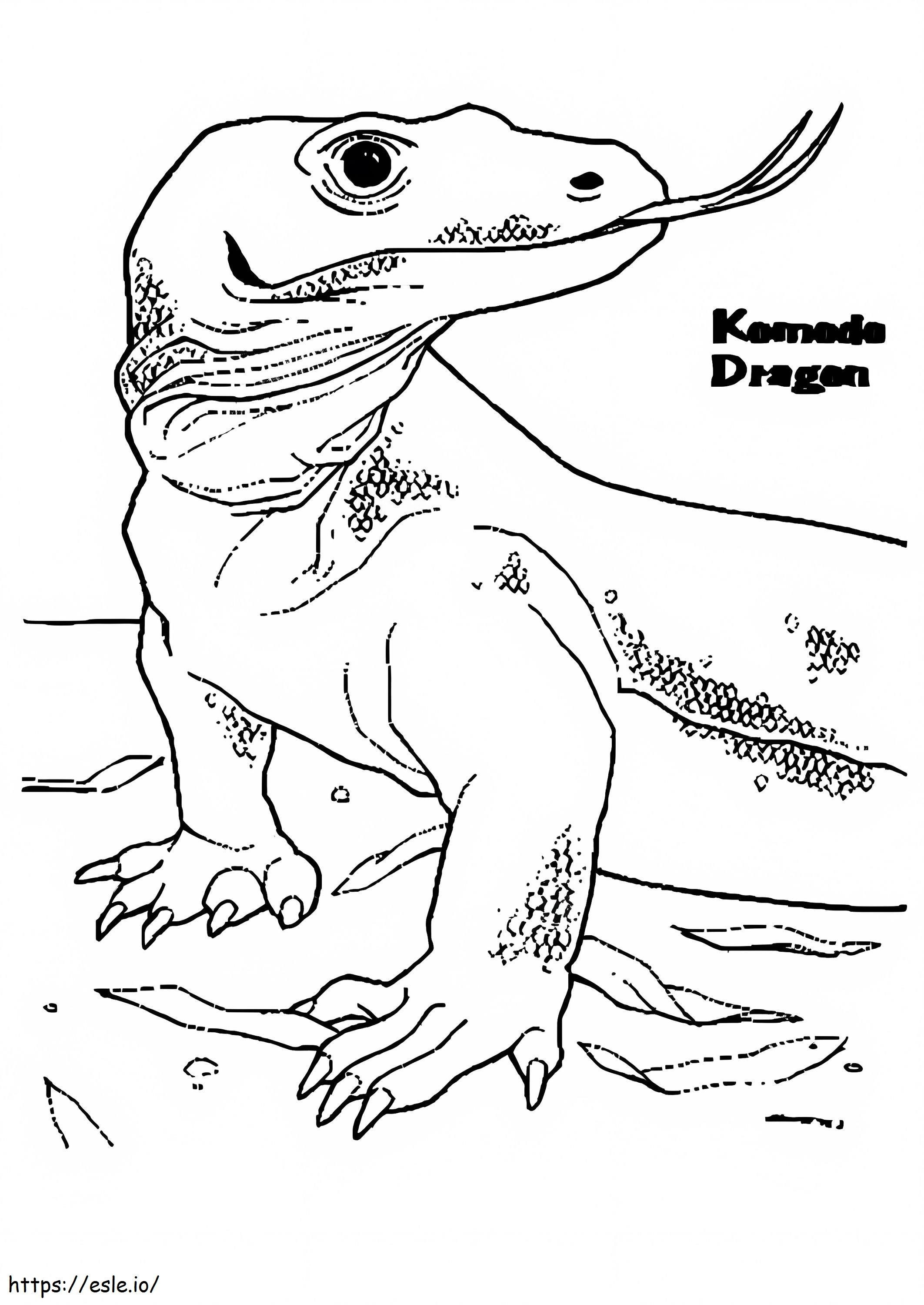 Dragão de Komodo 3 para colorir