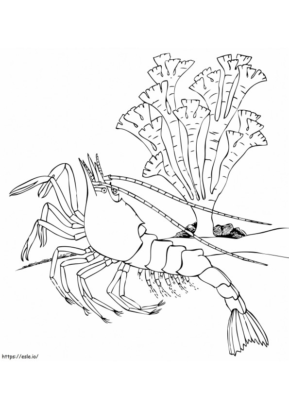 Shrimp Printable coloring page
