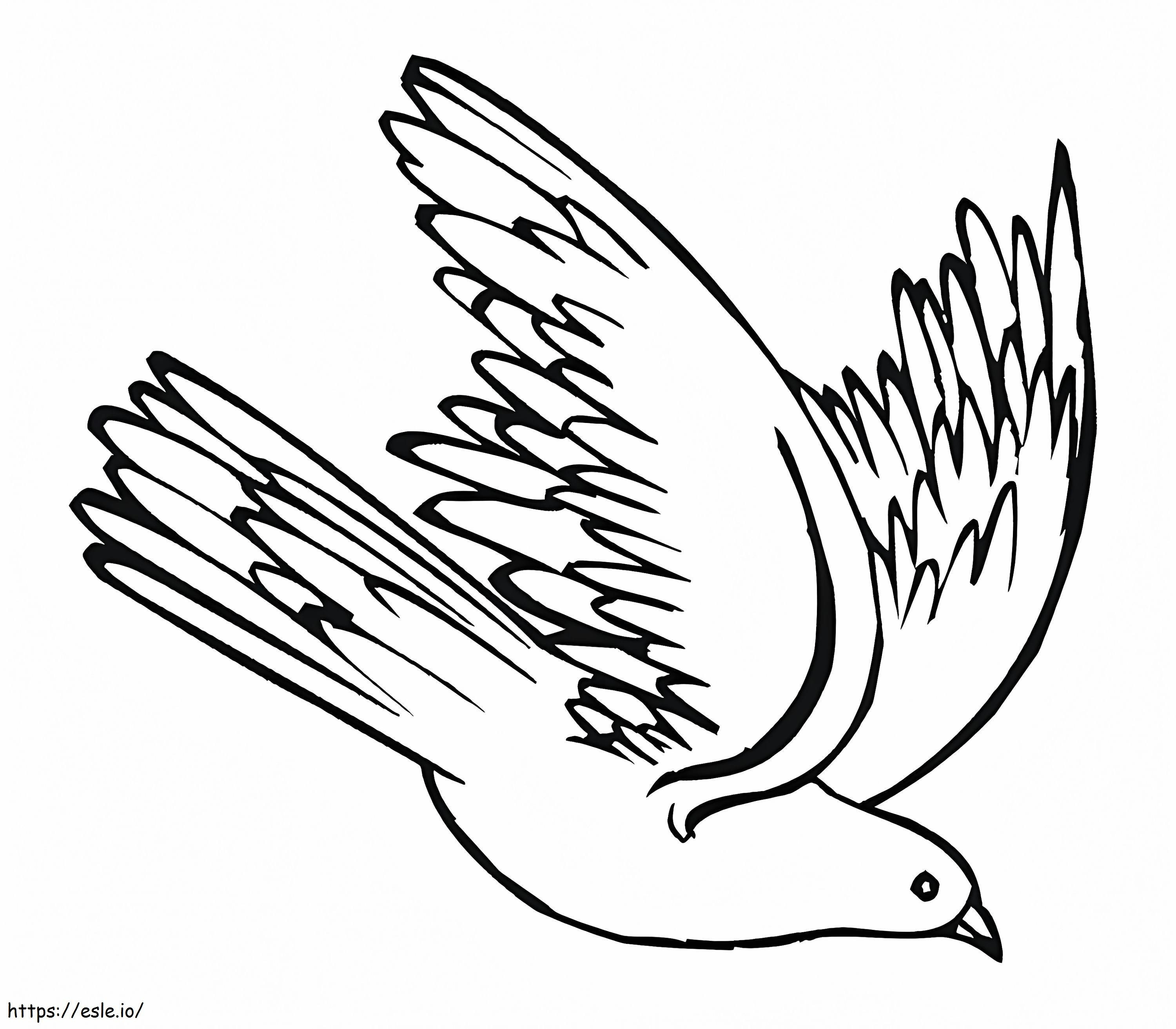 Coloriage Pigeon 7 à imprimer dessin