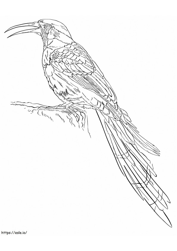 Green Wood Sleeper coloring page