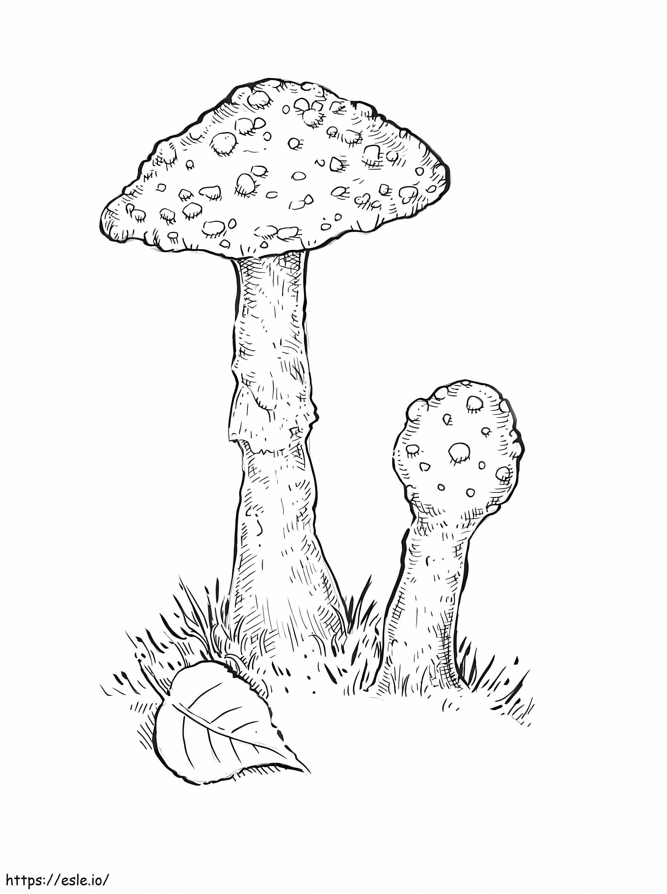 Mushrooms 2 coloring page