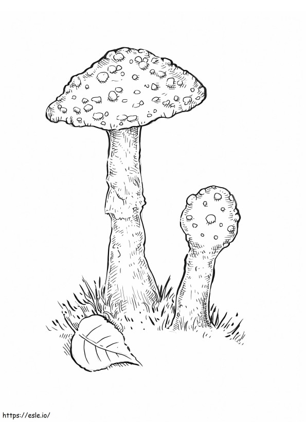 Mushrooms 2 coloring page