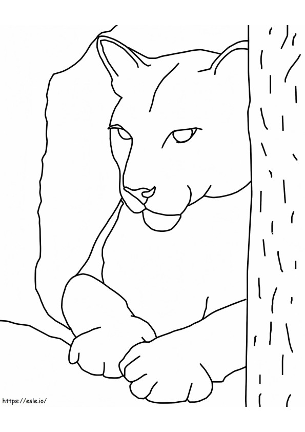 Puma Face coloring page