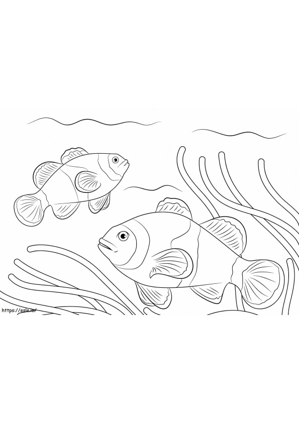 Pești clovn Ocellaris 1 de colorat