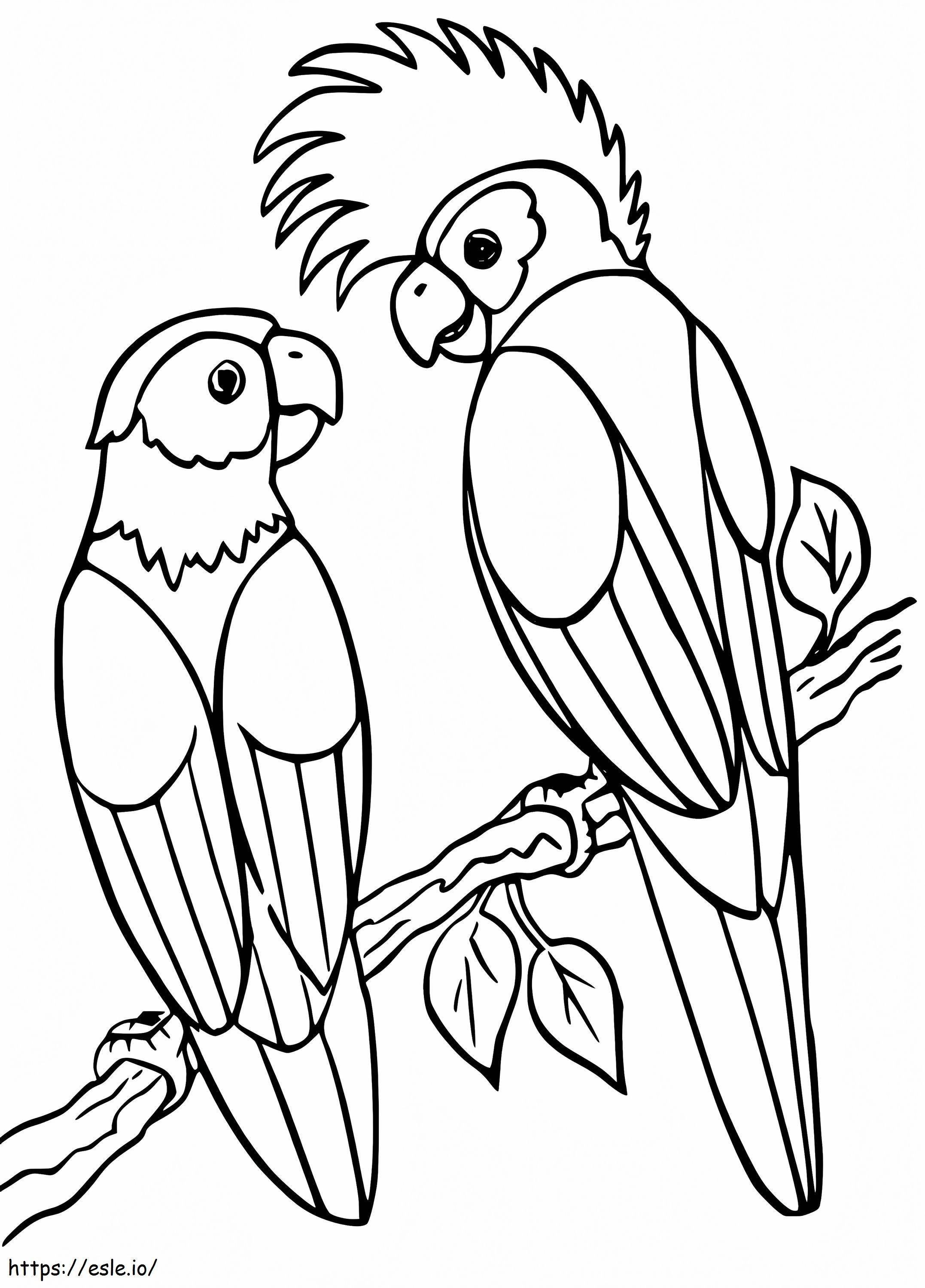 Calopsita e papagaio para colorir