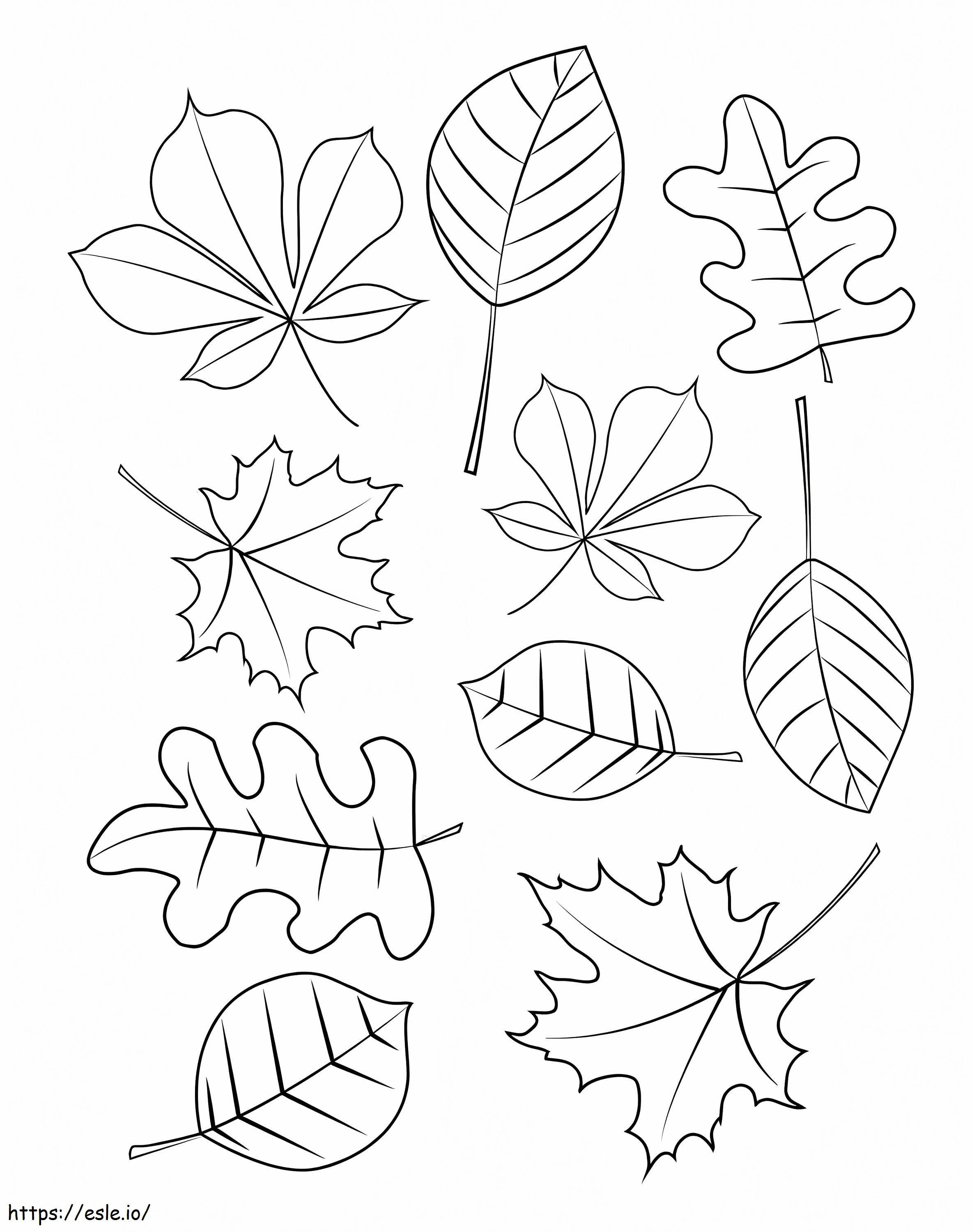 Dieci foglie d'autunno da colorare