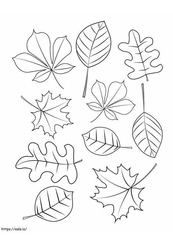 Coloriage Dix feuilles d'automne à imprimer dessin