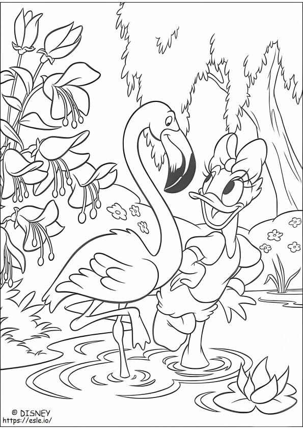 Coloriage Daisy et Flamingo à imprimer dessin