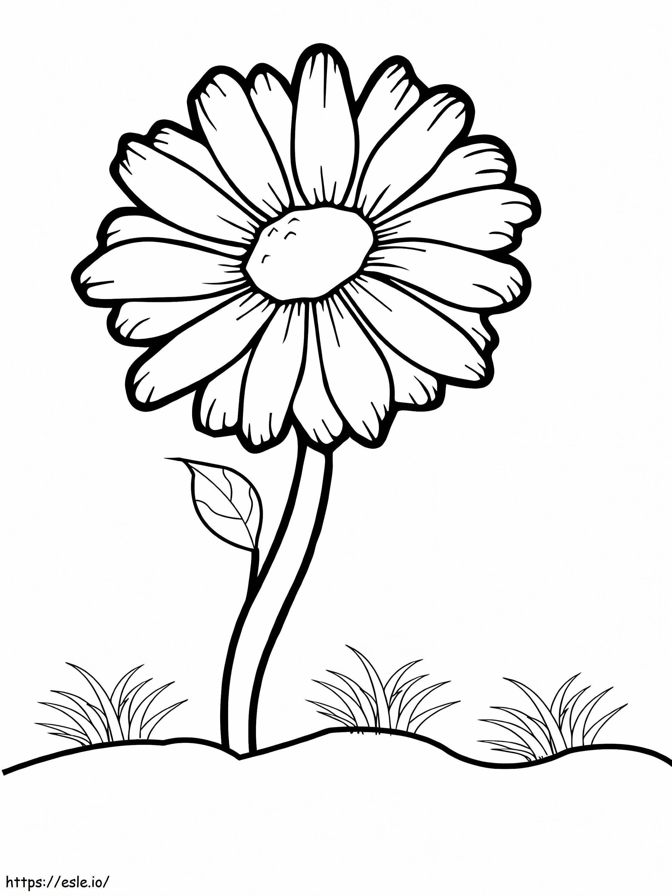 Bunga Daisy yang Mudah Gambar Mewarnai