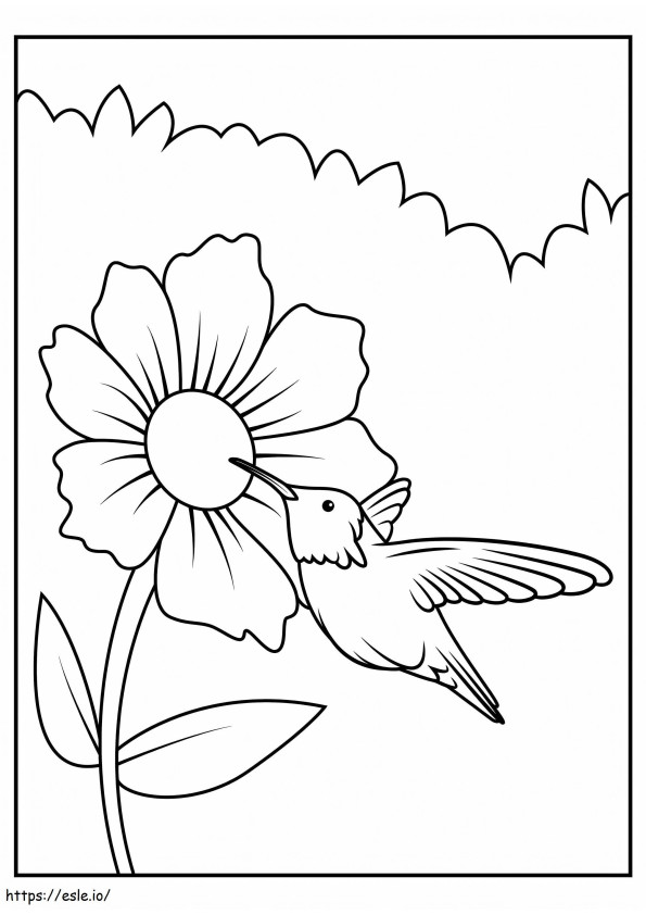 Colibri avec tournesol