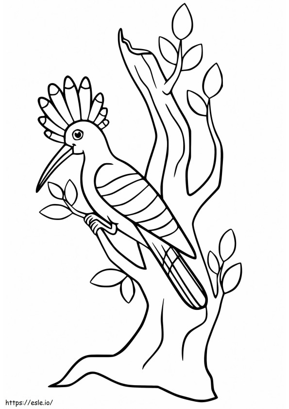 Hoopoe Di Pohon