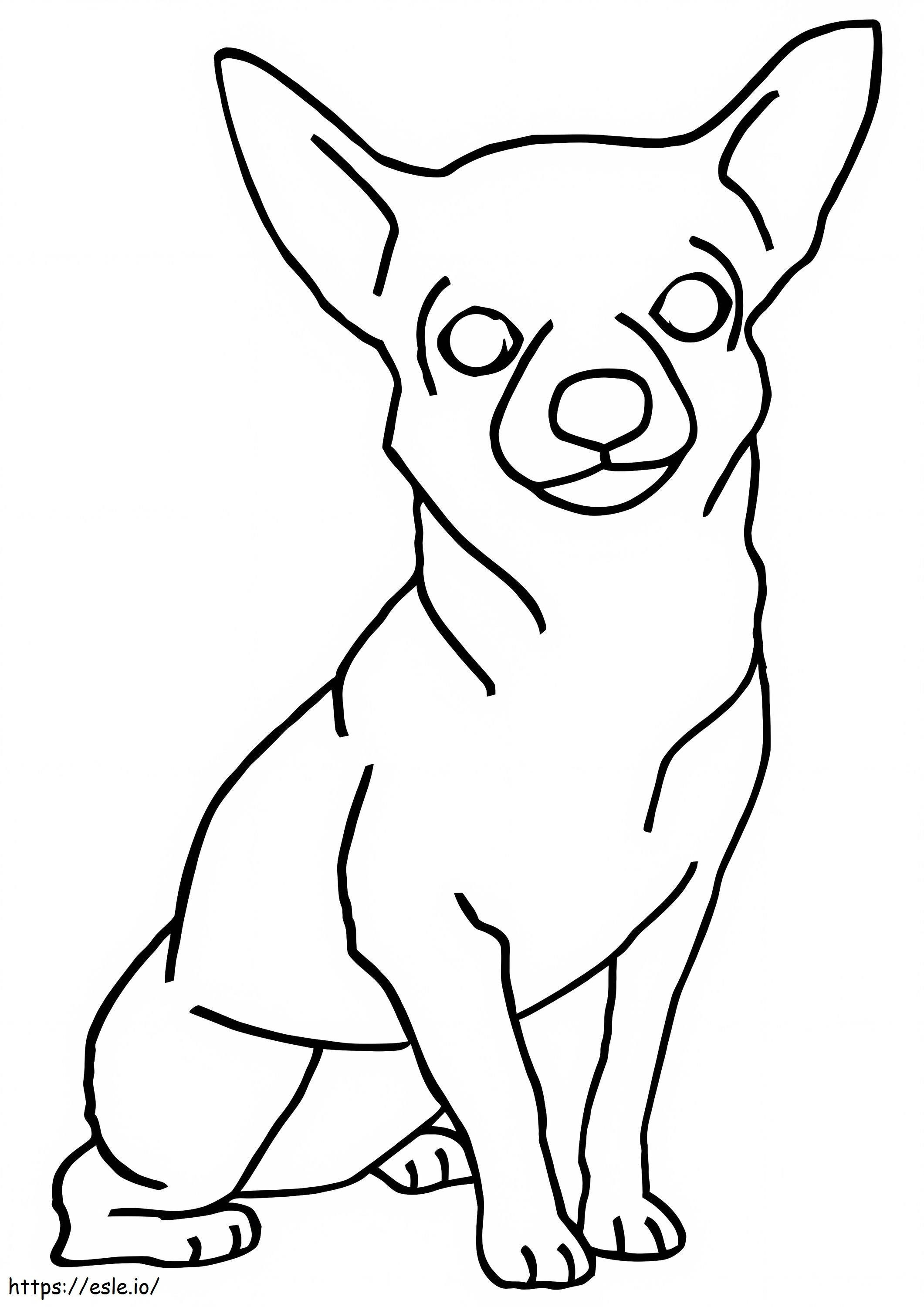 Coloriage Chihuahua simple à imprimer dessin