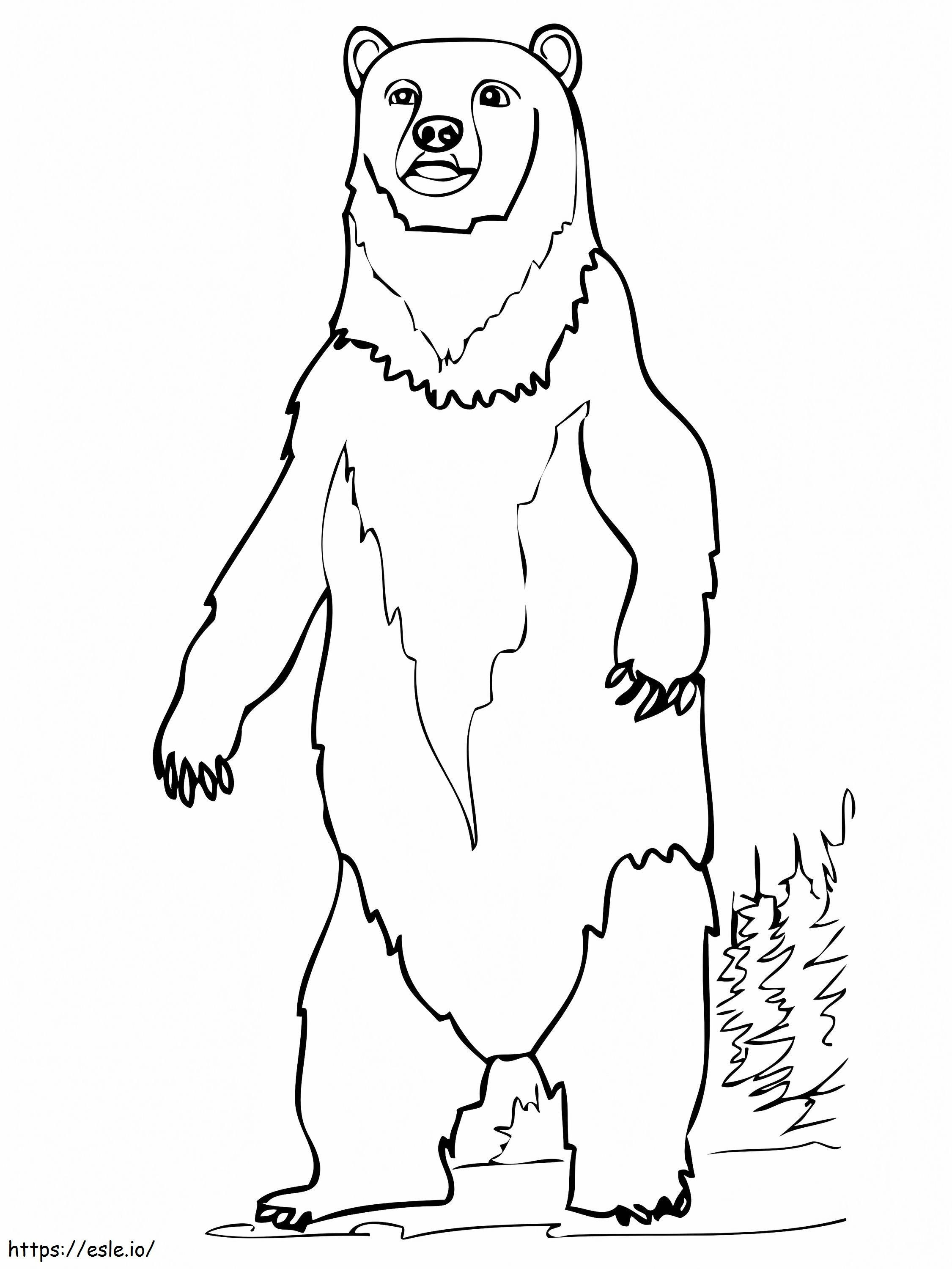 Ursul Brun în picioare de colorat