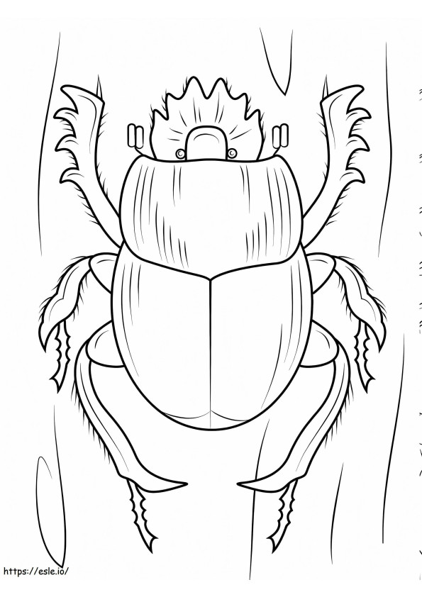 Scarabaeus Dung Beetle coloring page