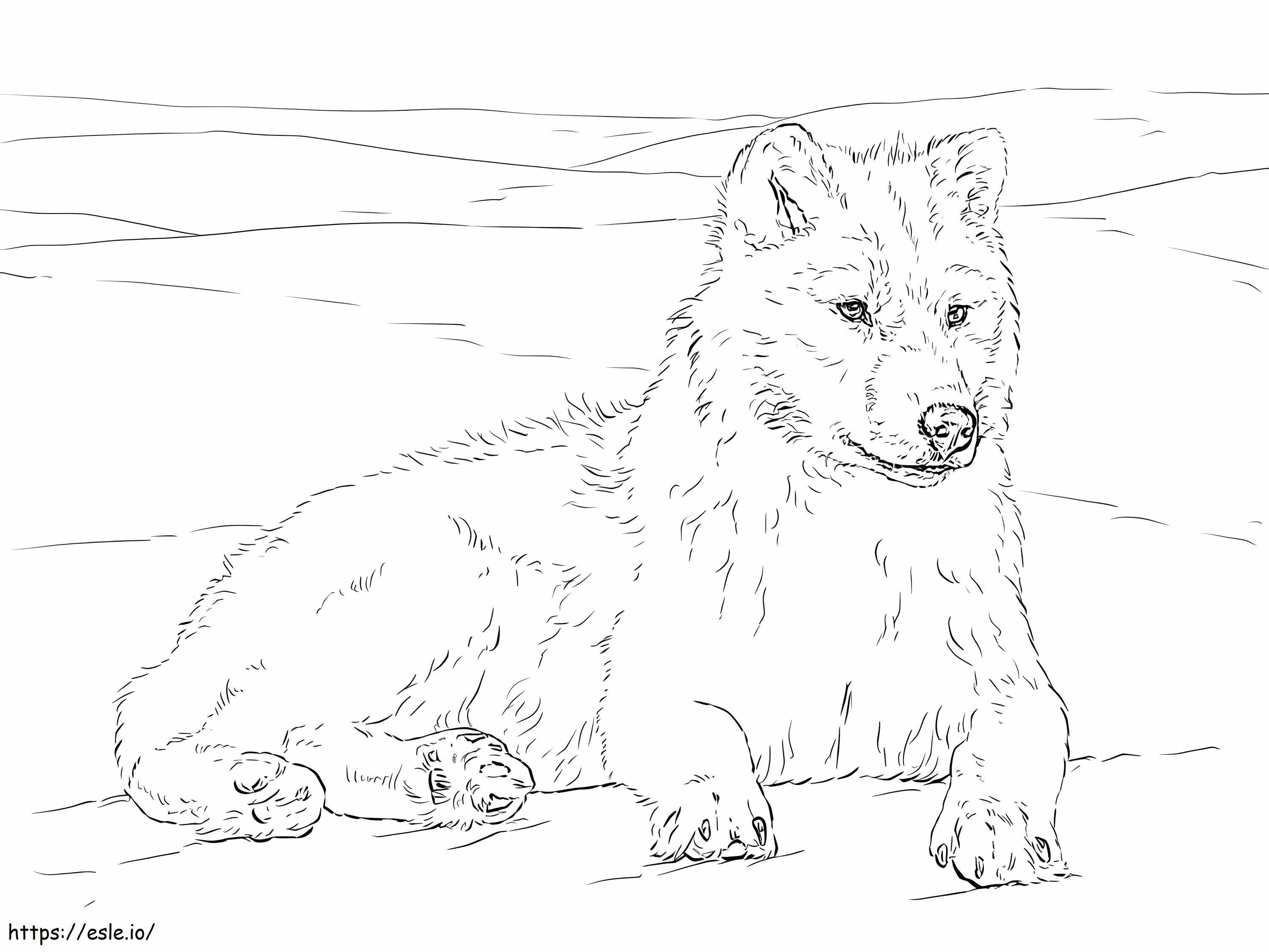 Realistic Arctic Wolf coloring page