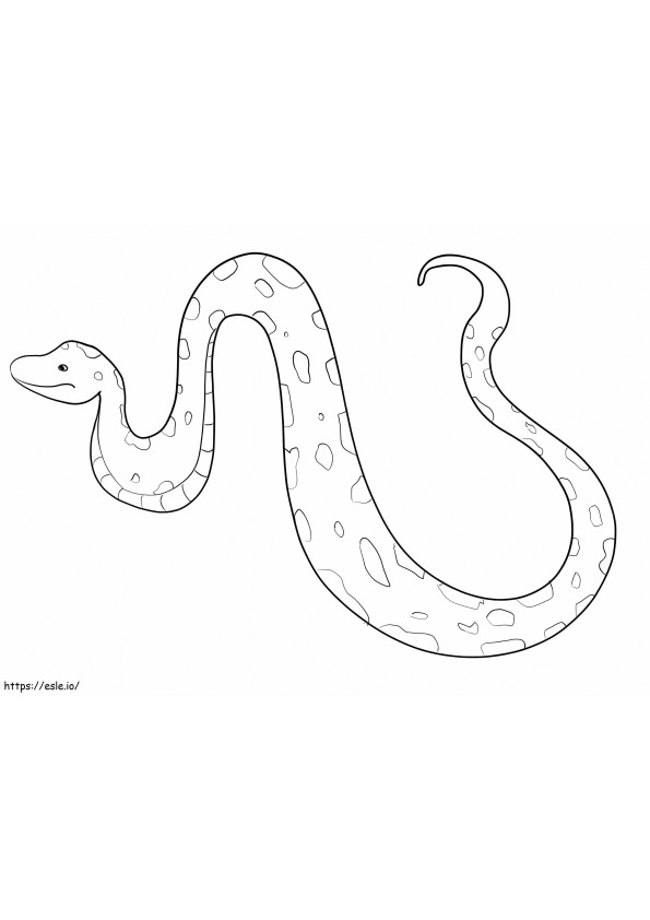 Little Anaconda