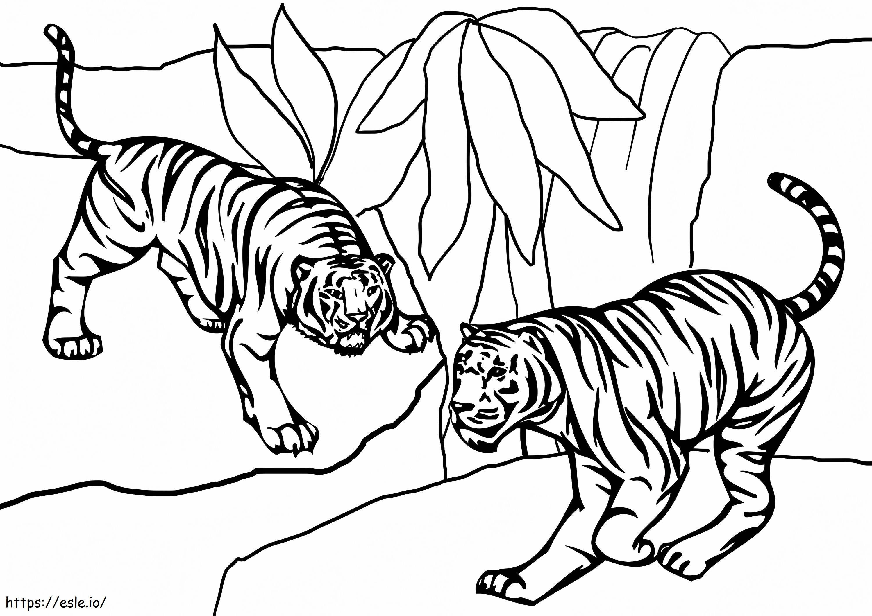 Twee tijgers kleurplaat kleurplaat