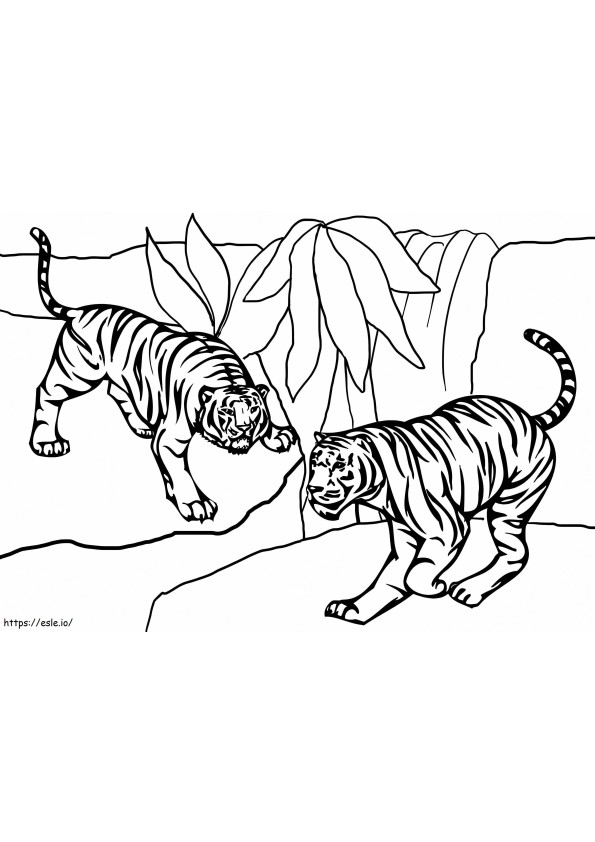 Twee tijgers kleurplaat