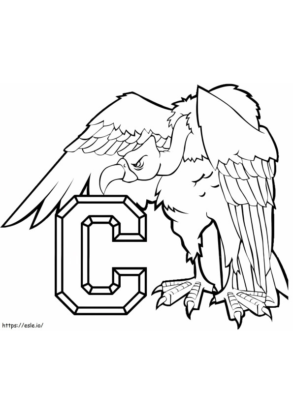 Condor is Para C