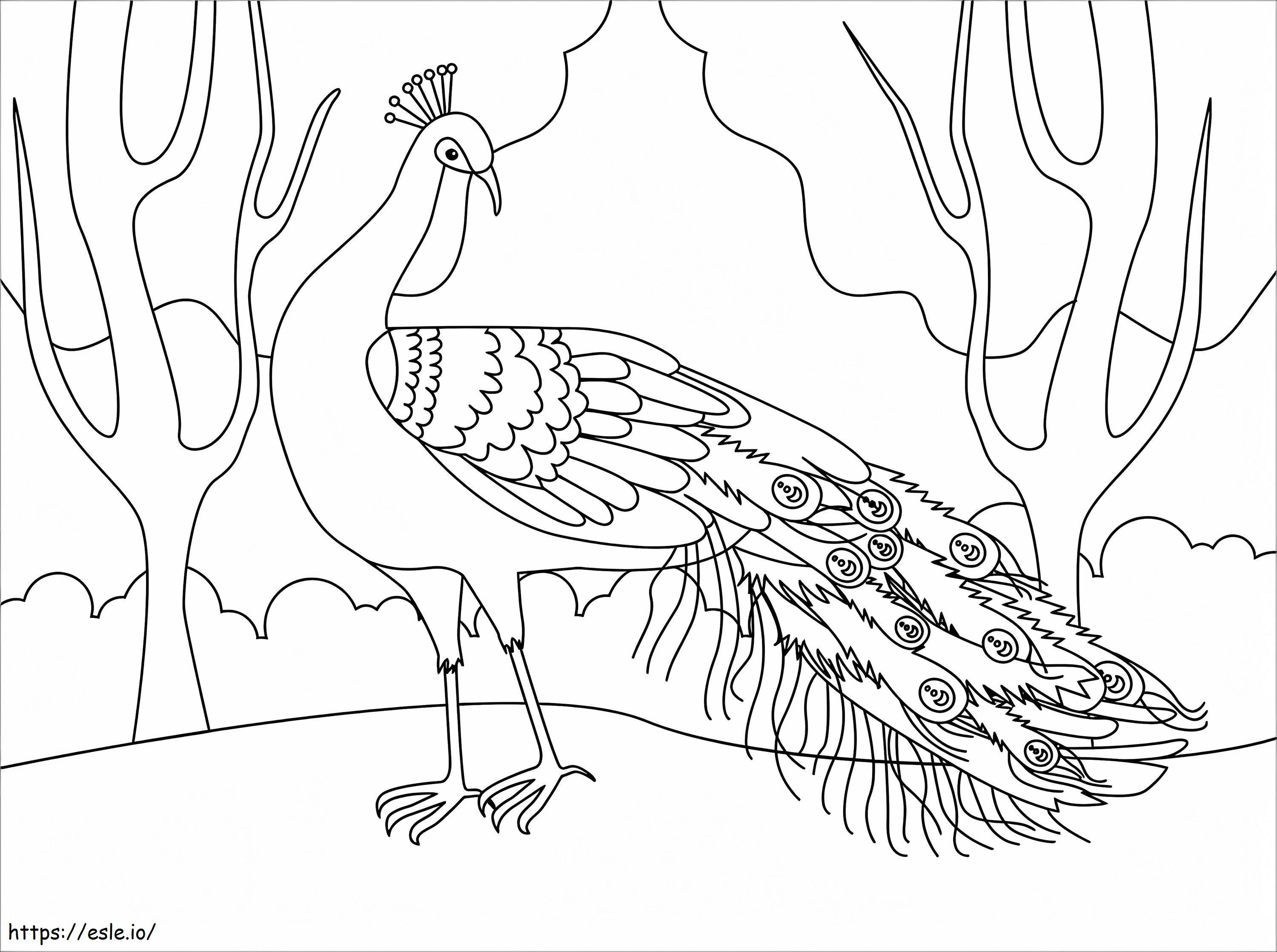 Normal Peacock coloring page