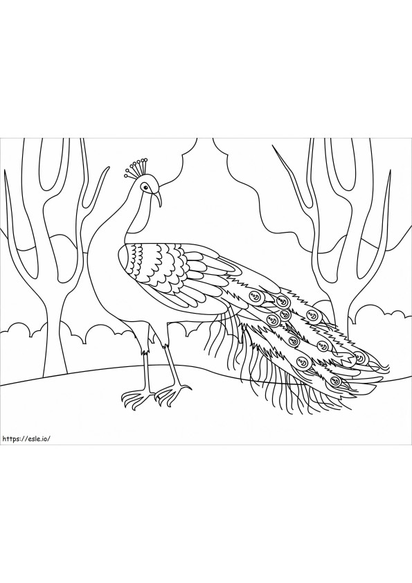 Normal Peacock coloring page