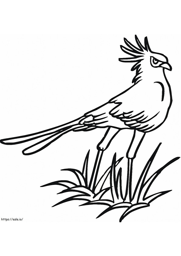 Coloriage Secrétaire oiseau sur l'herbe à imprimer dessin