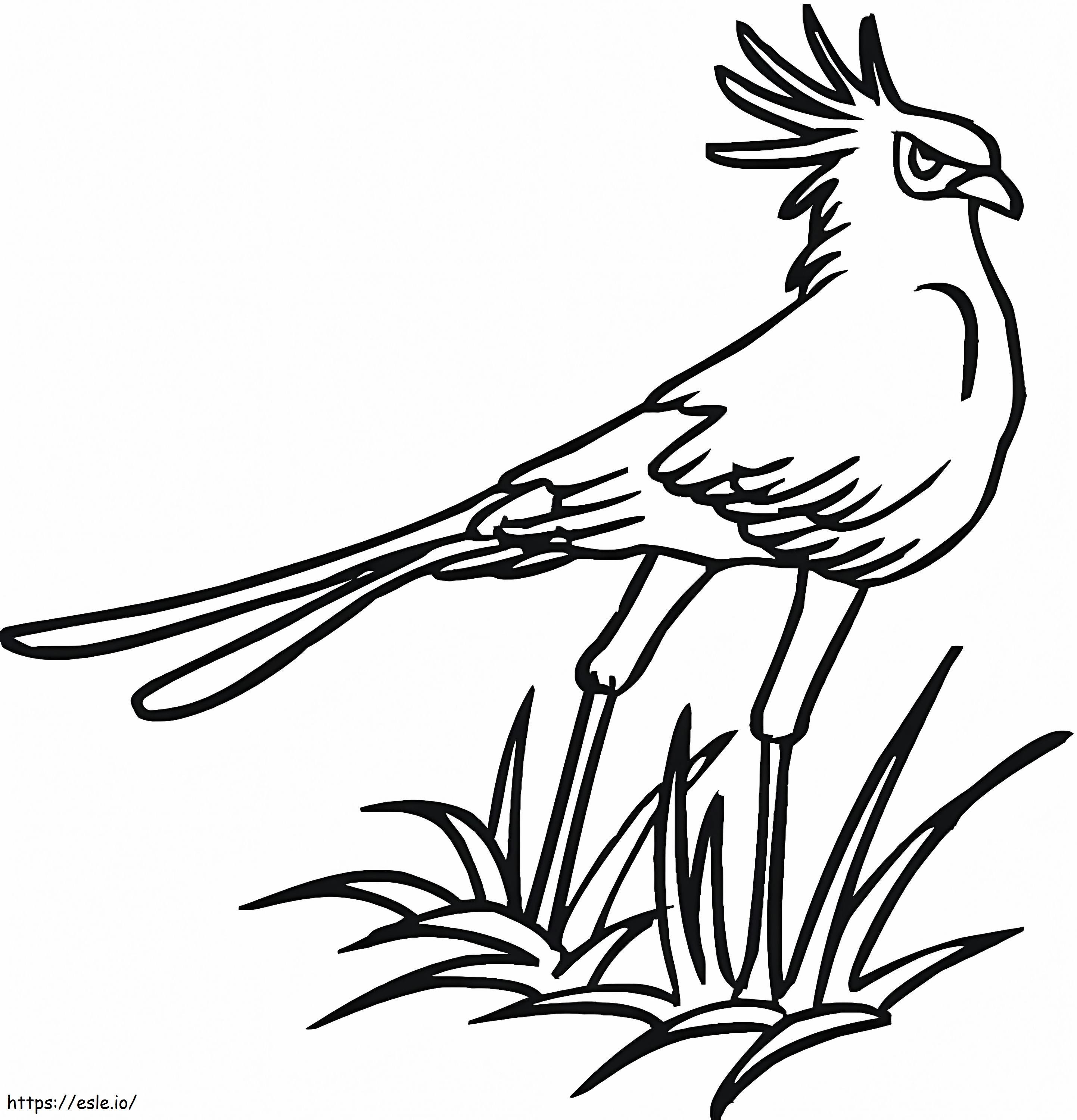 Secretary Bird On Grass coloring page