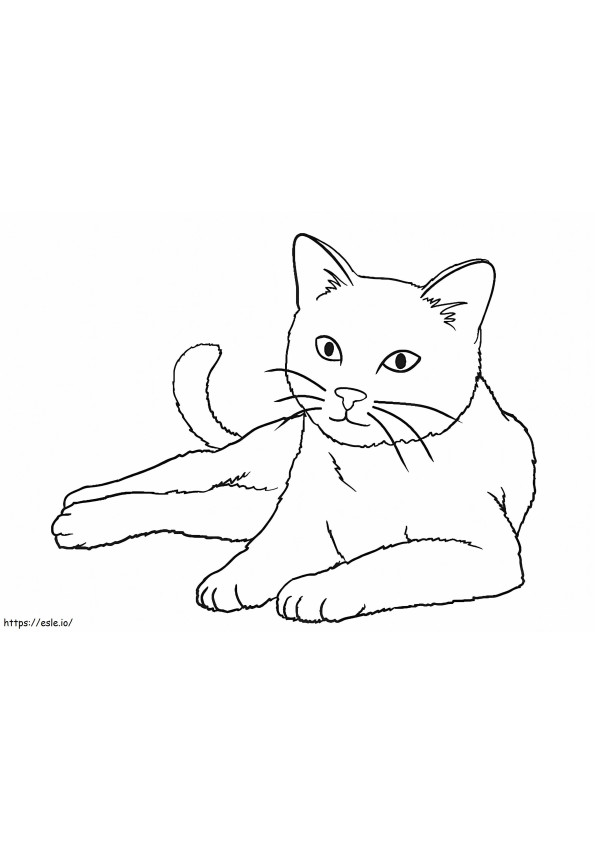 Big Cat coloring page