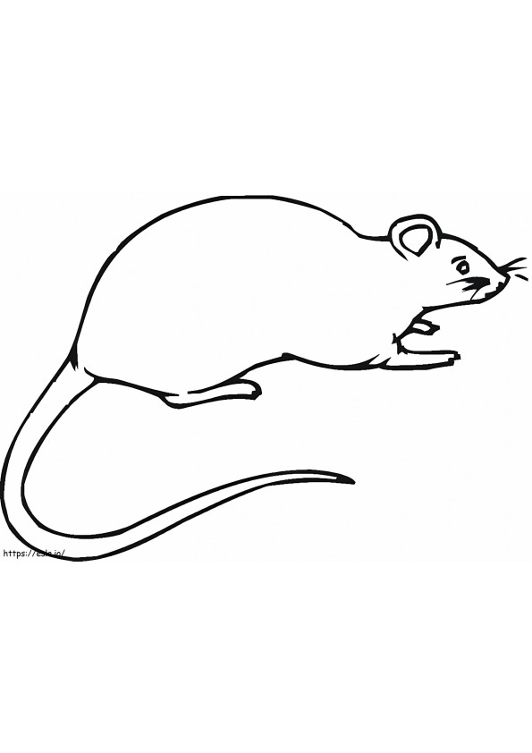 Coloriage Rat gratuit à imprimer dessin