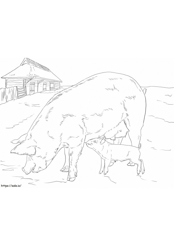 Mother And Baby Pig coloring page