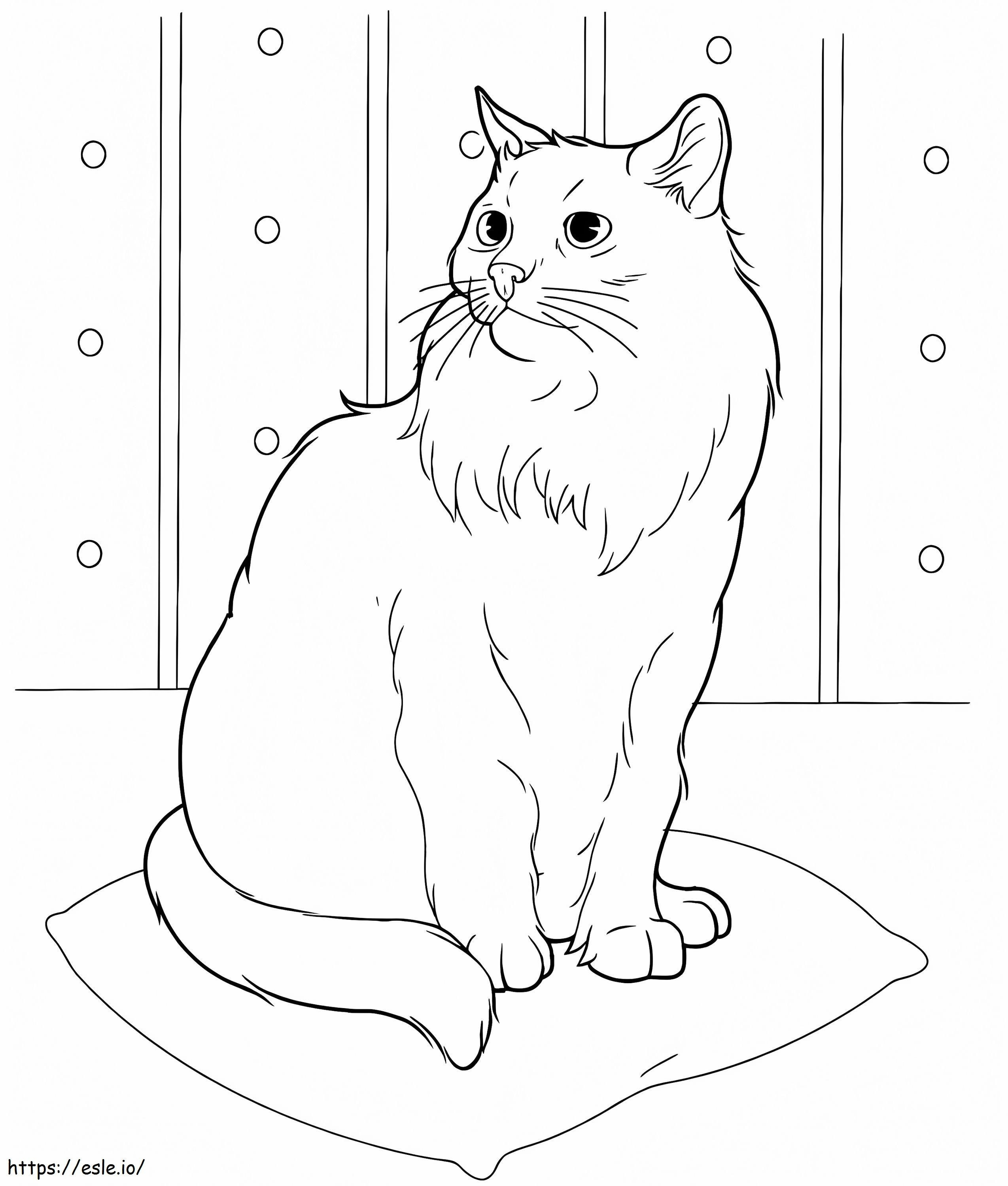 Siberian Cat 1 coloring page