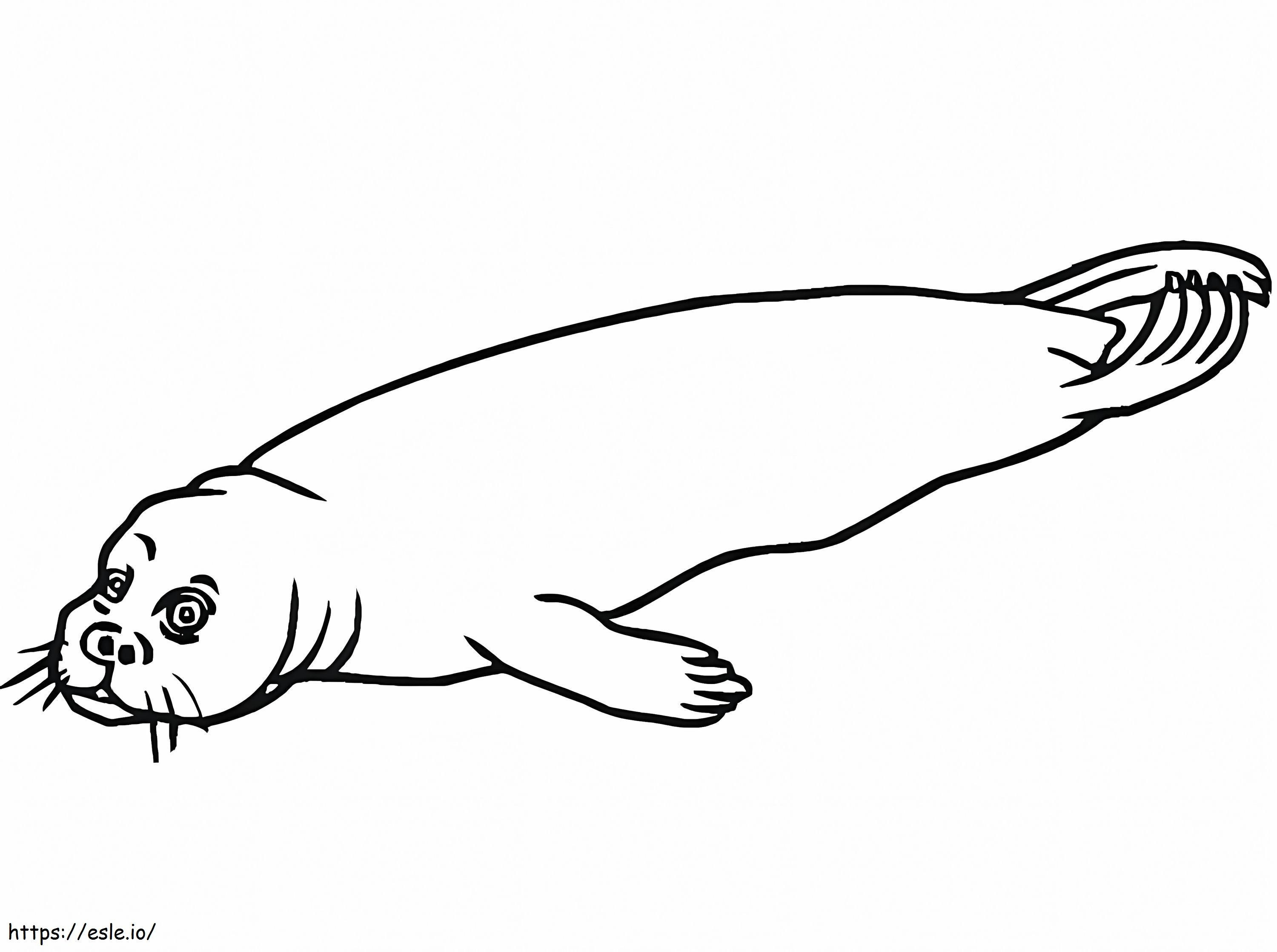 Normal Port Seal coloring page