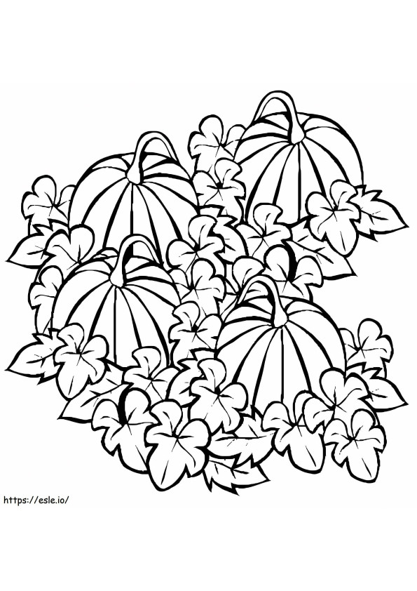 Pumpkin Patch For Kindergarten coloring page