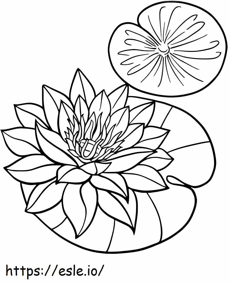 Flor de lótus em folha de lótus para colorir